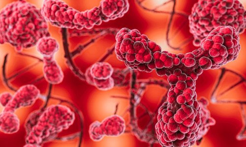 Профілактика атеросклерозу: прості кроки для здорових судин