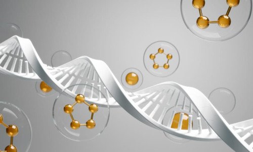 Як діє гідролізат колагену та кому він потрібен